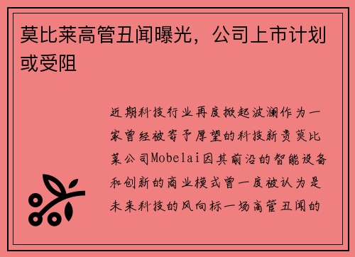 莫比莱高管丑闻曝光，公司上市计划或受阻